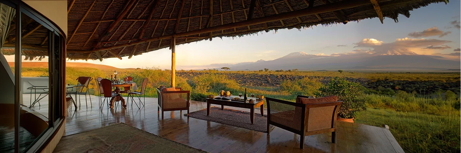 little-tortilis- 1.webp